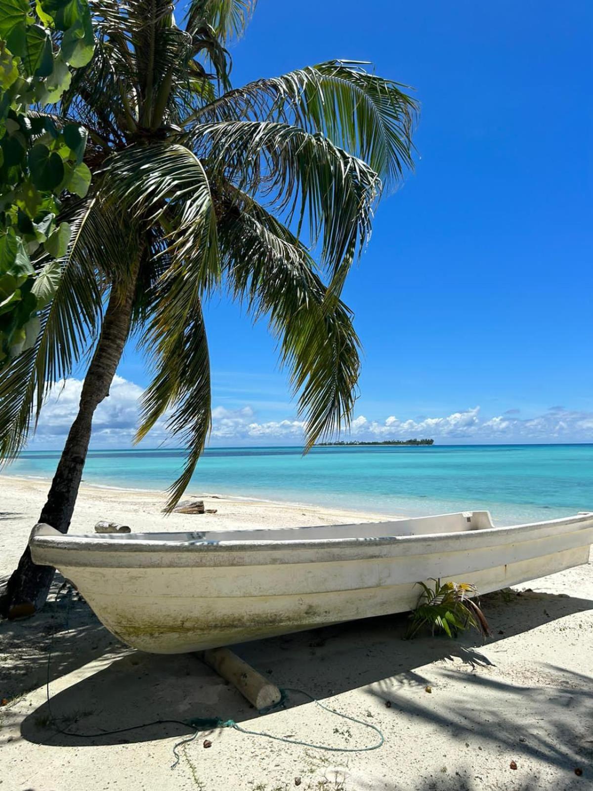 Palambak Paradise Resort Pulau Banyak Pulau Palambakbesar Eksteriør bilde